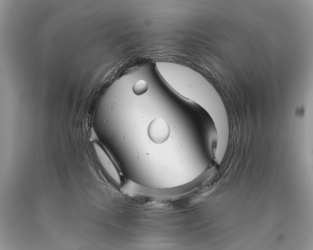 X0000089920280200707201825