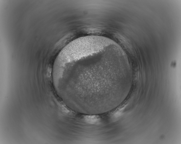 X0000089920281200707201825