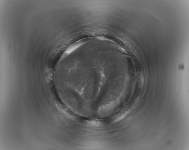 X0000089920284200707201825