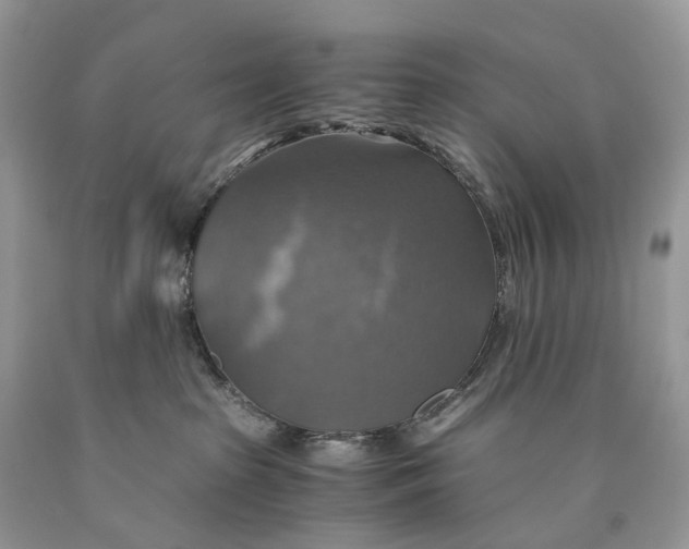 X0000089920285200707201825