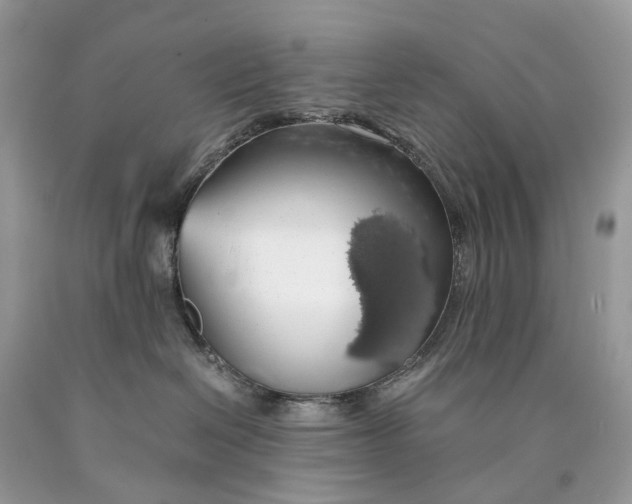 X0000089920286200707201825