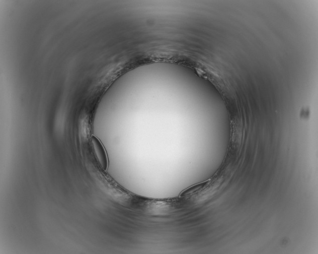 X0000089920287200707201825