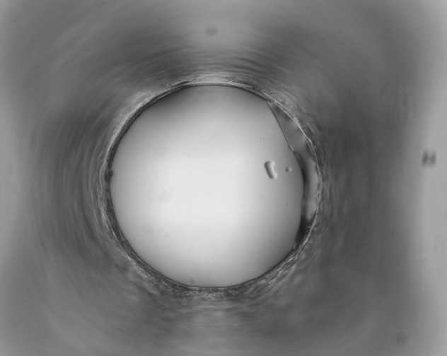 X0000089920289200707201824