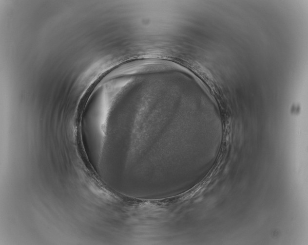 X0000089920290200707201824