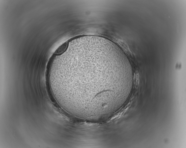 X0000089920292200707201824