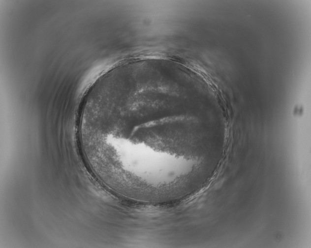 X0000089920293200707201824