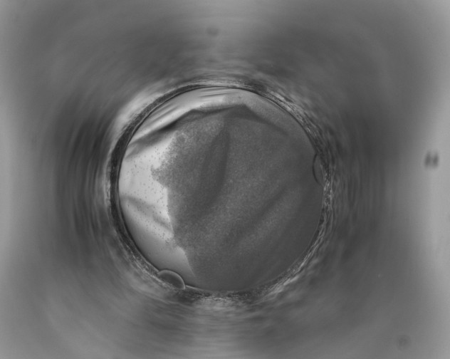 X0000089920294200707201824