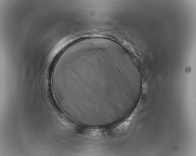 X0000089920295200707201824