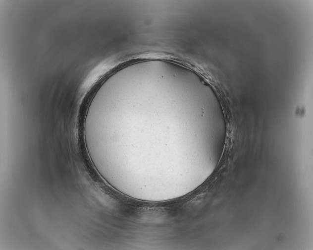 X0000089920296200707201824