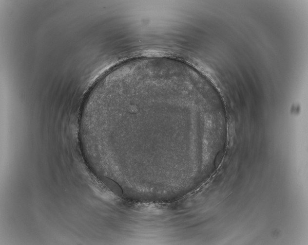 X0000089920297200707201824