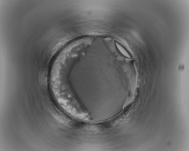 X0000089920299200707201824