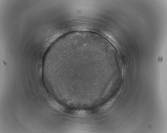 X0000089920301200707201824