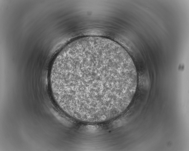 X0000089920302200707201824