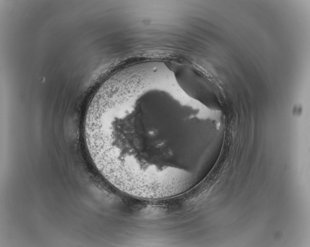 X0000089920303200707201824