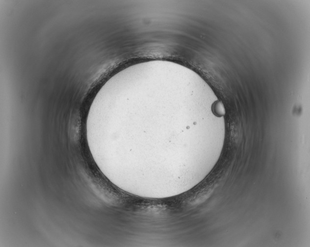 X0000089920304200707201824