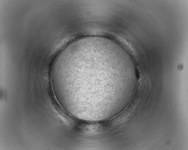 X0000089920306200707201824