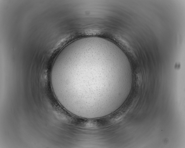 X0000089920308200707201824