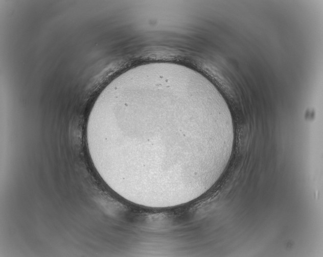 X0000089920309200707201824