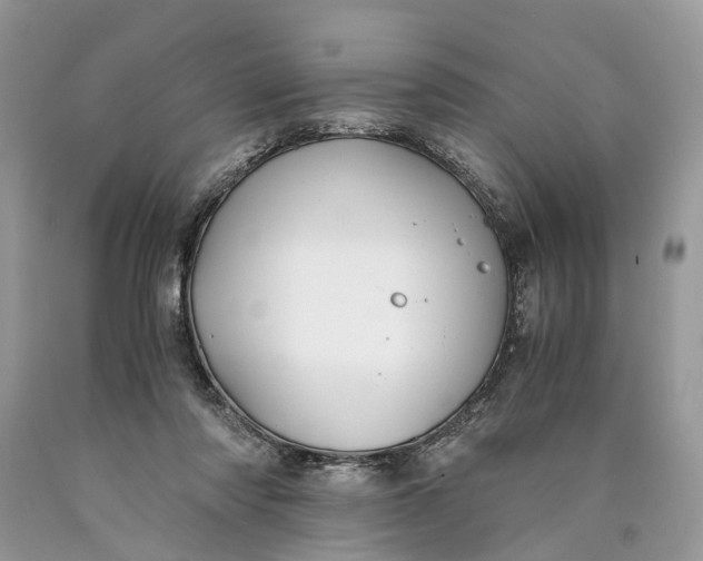 X0000089920310200707201824