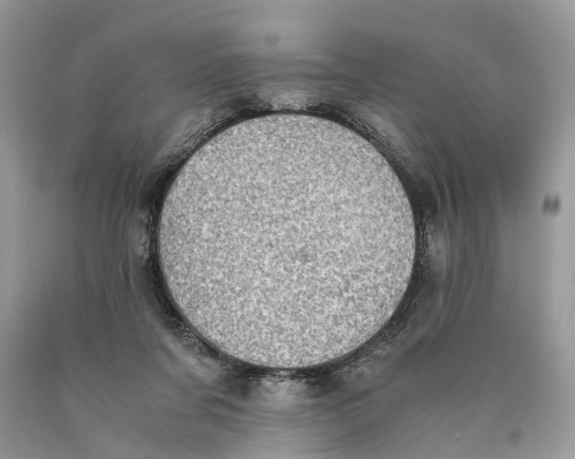 X0000089920311200707201824