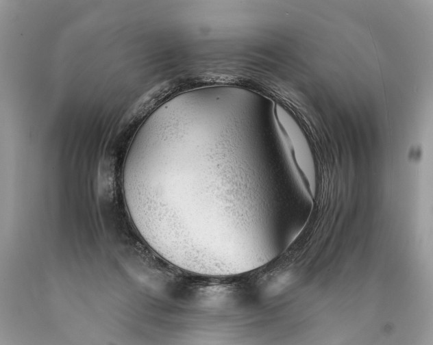 X0000089920312200707201824