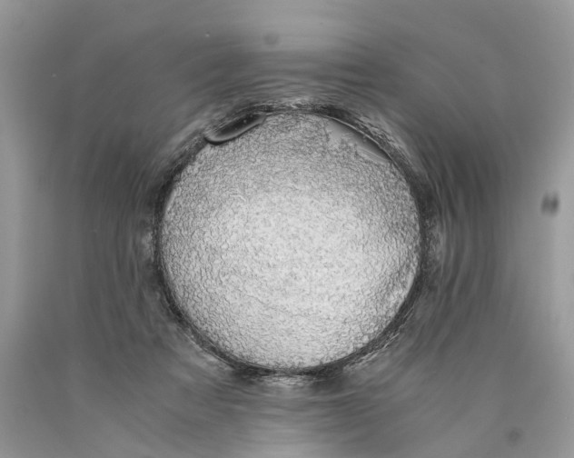 X0000089920313200707201824