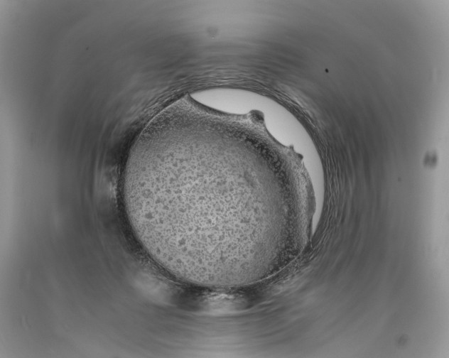 X0000089920315200707201824