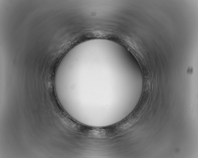 X0000089920317200707201824