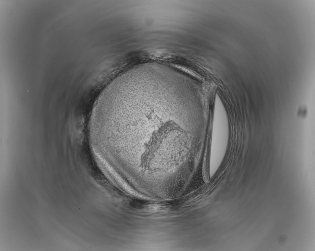 X0000089920319200707201824