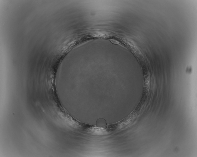 X0000089920322200707201824