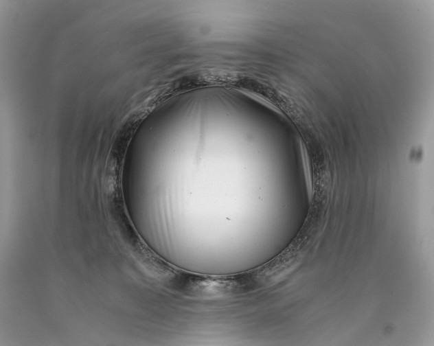 X0000089920323200707201824