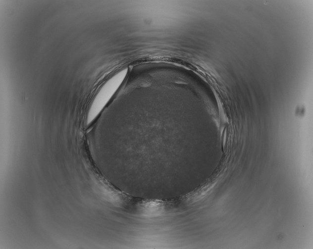 X0000089920325200707201824