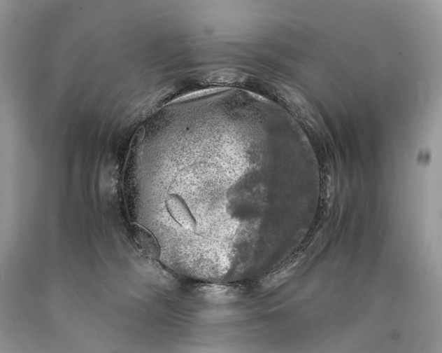 X0000089920326200707201824