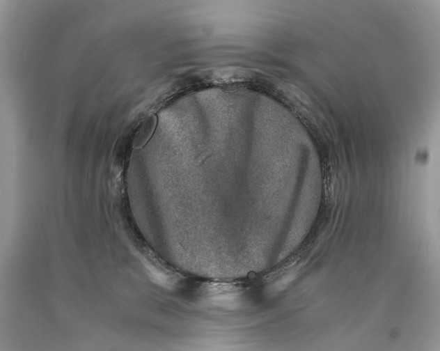 X0000089920327200707201824