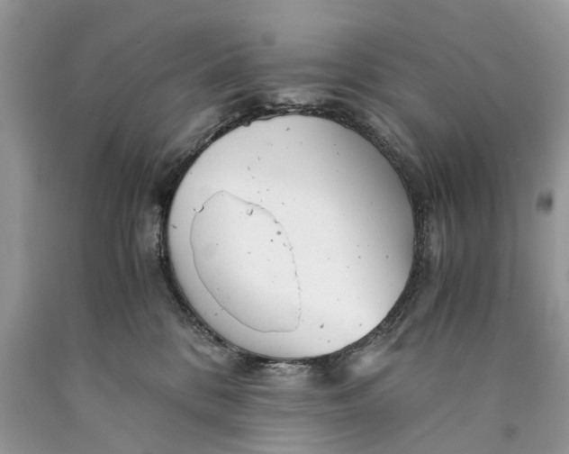 X0000089920328200707201824