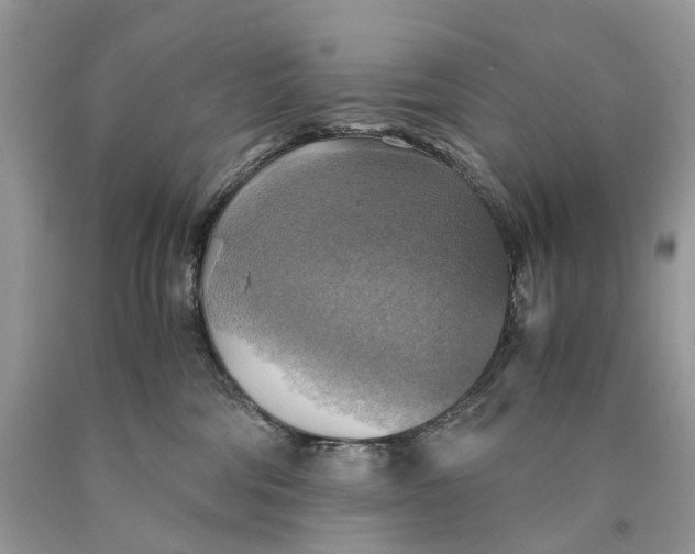 X0000089920330200707201823