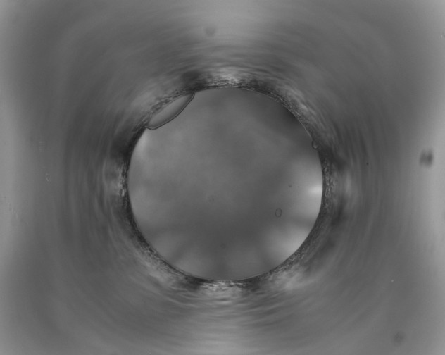 X0000089920331200707201823