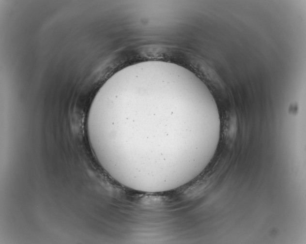 X0000089920332200707201823