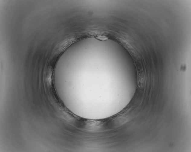 X0000089920334200707201823