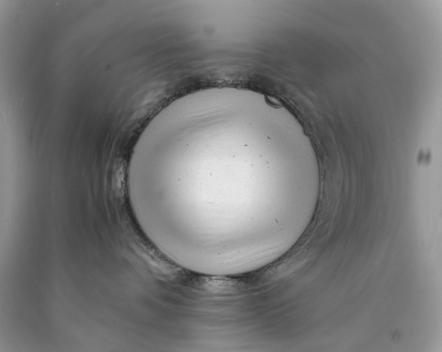 X0000089920336200707201823