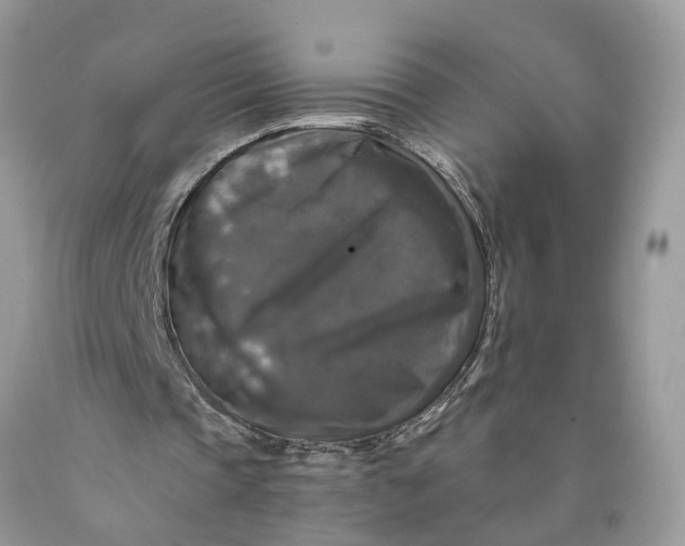 X0000089920337200707201823