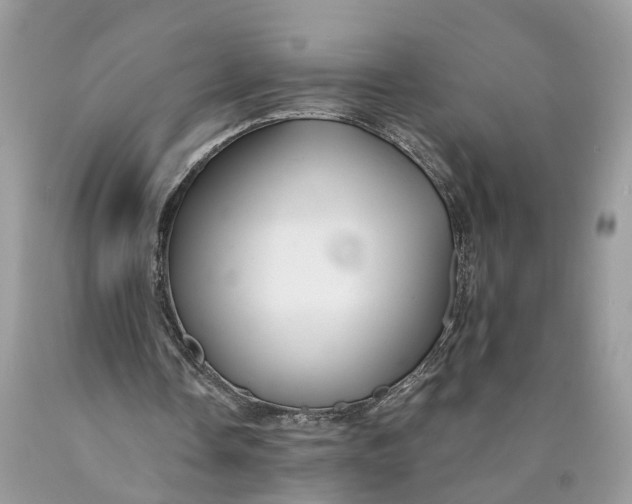 X0000089920338200707201823