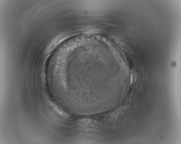 X0000089920339200707201823