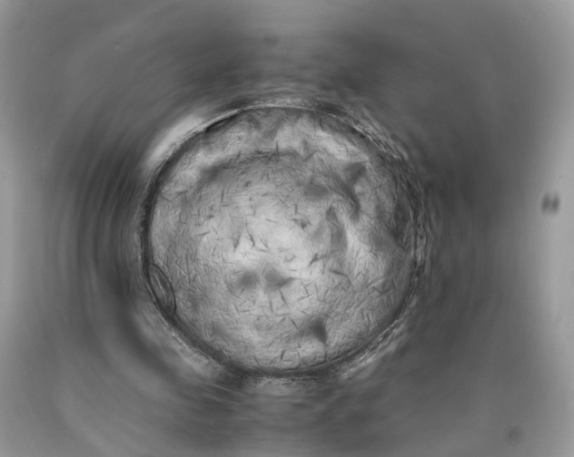 X0000089920341200707201823