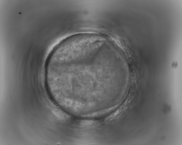 X0000089920342200707201823