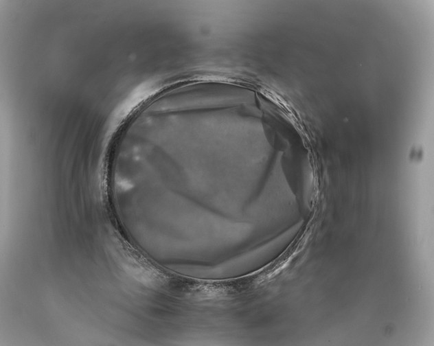 X0000089920343200707201823