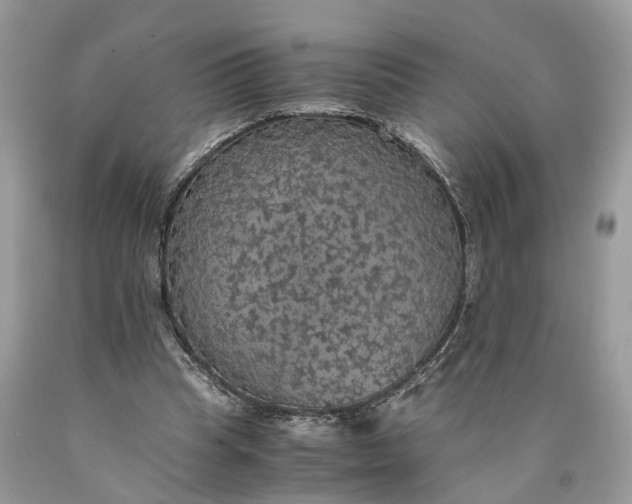 X0000089920345200707201823