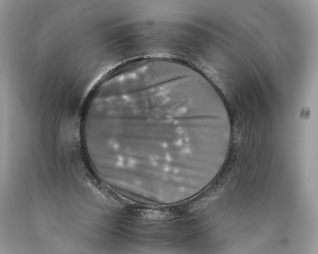 X0000089920347200707201823