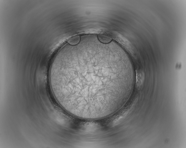 X0000089920348200707201823