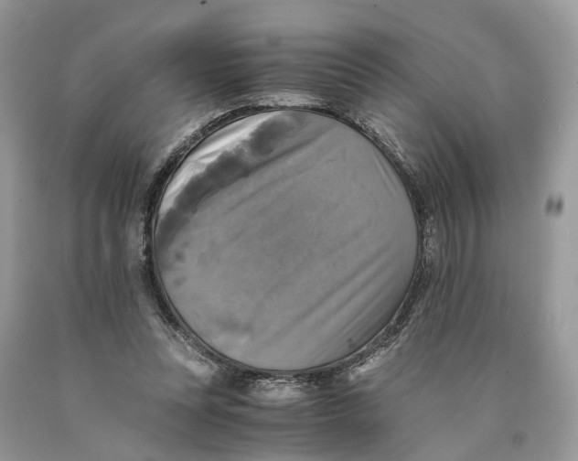 X0000089920351200707201823